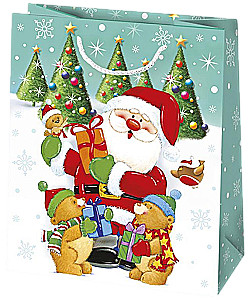Gift bag 19x23x10.5 cm, assorted