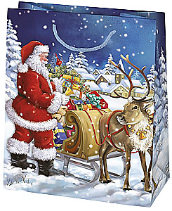 Gift bag 19x23x10.5 cm, assorted