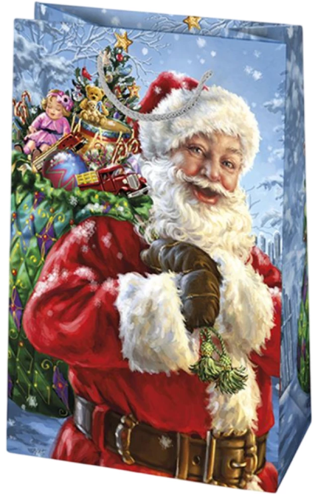 Torebka prezentowa 16x24x7 cm, w asortymencie