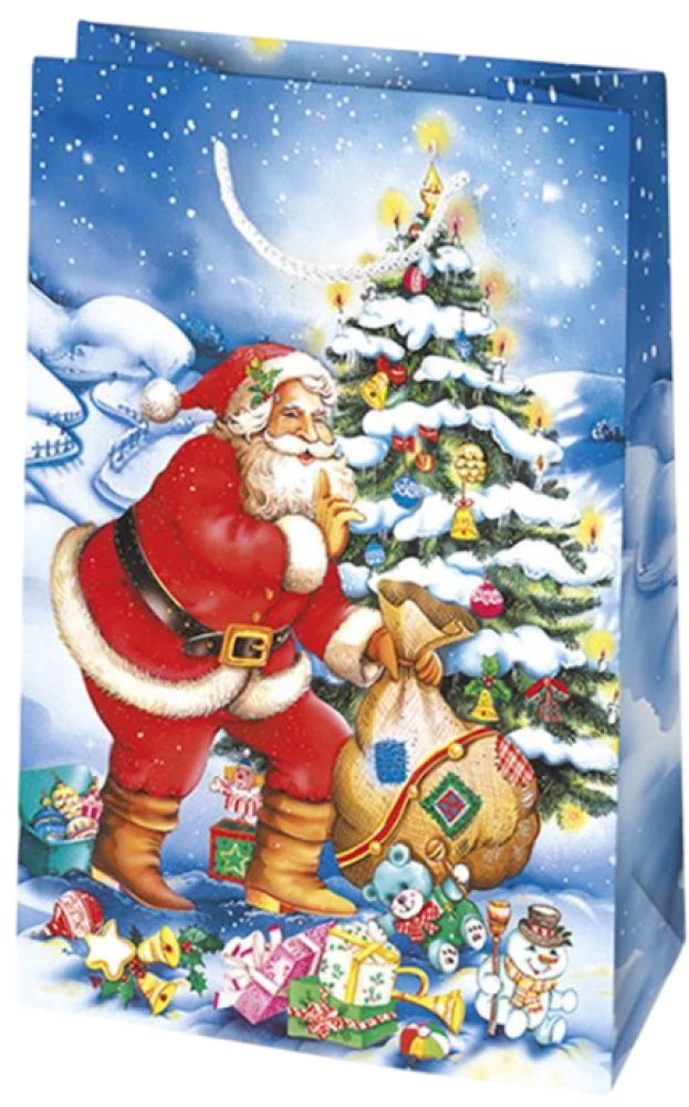 Torebka prezentowa 16x24x7 cm, w asortymencie