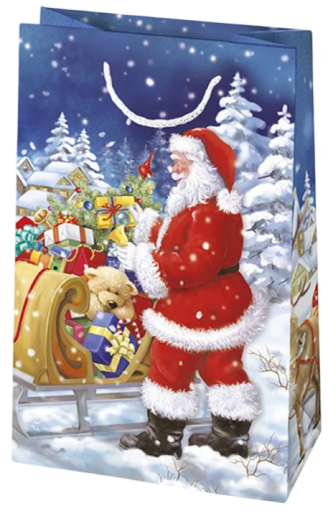 Torebka prezentowa 16x24x7 cm, w asortymencie