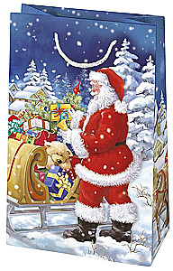 Torebka prezentowa 16x24x7 cm, w asortymencie