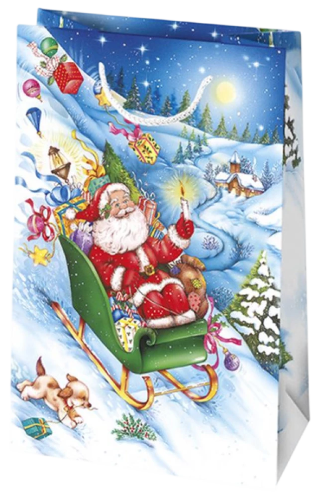 Torebka prezentowa 16x24x7 cm, w asortymencie