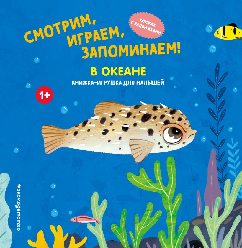 Žiūrime, žaidžiame, atsimename! Okeane