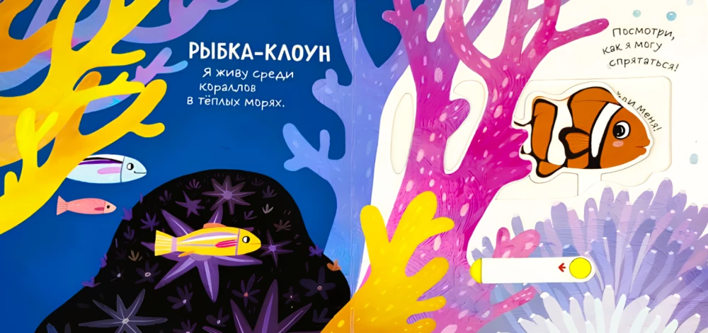 Watching, Playing, Remembering! In the Ocean