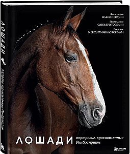 Horses. Portraits Inspired by Rembrandt. Exclusive Photo Album