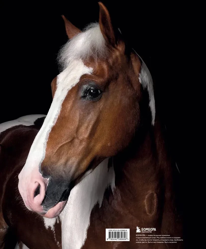 Horses. Portraits Inspired by Rembrandt. Exclusive Photo Album