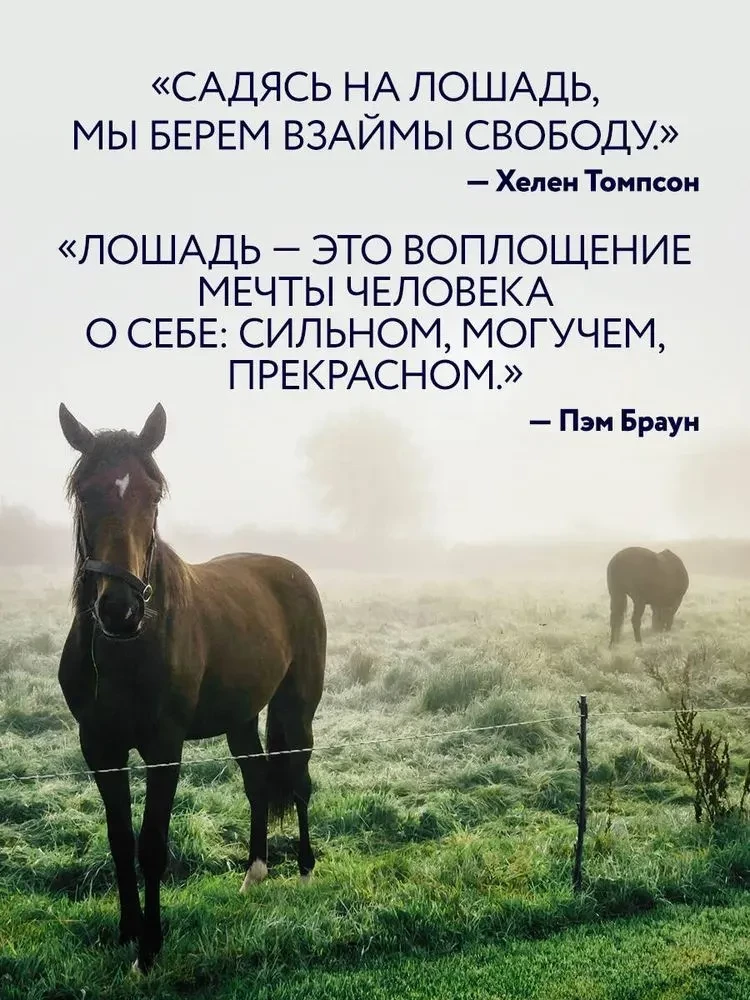 Horses. Portraits Inspired by Rembrandt. Exclusive Photo Album