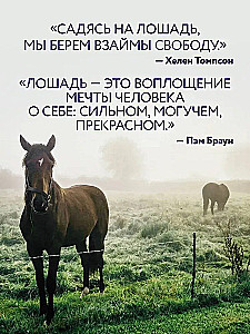 Horses. Portraits Inspired by Rembrandt. Exclusive Photo Album