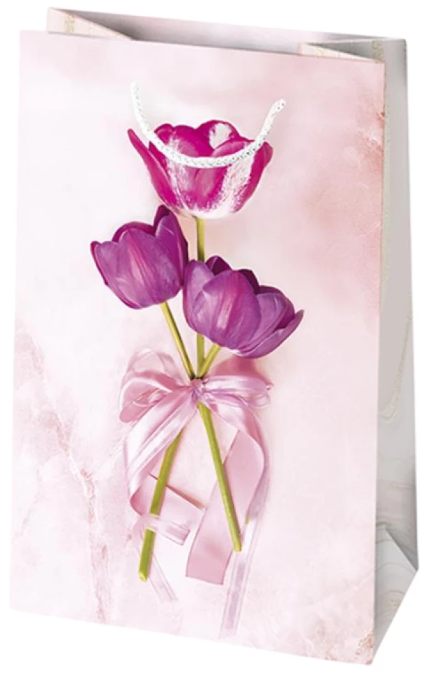 Torba prezentowa 16x24x7 cm, w asortymencie