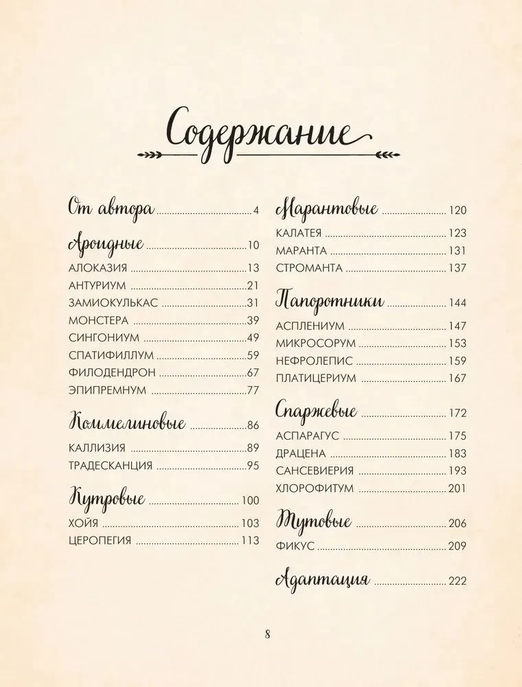 Sekrety pokojowych dżungli. O czym milczą rośliny i jak zrozumieć, czego naprawdę potrzebują