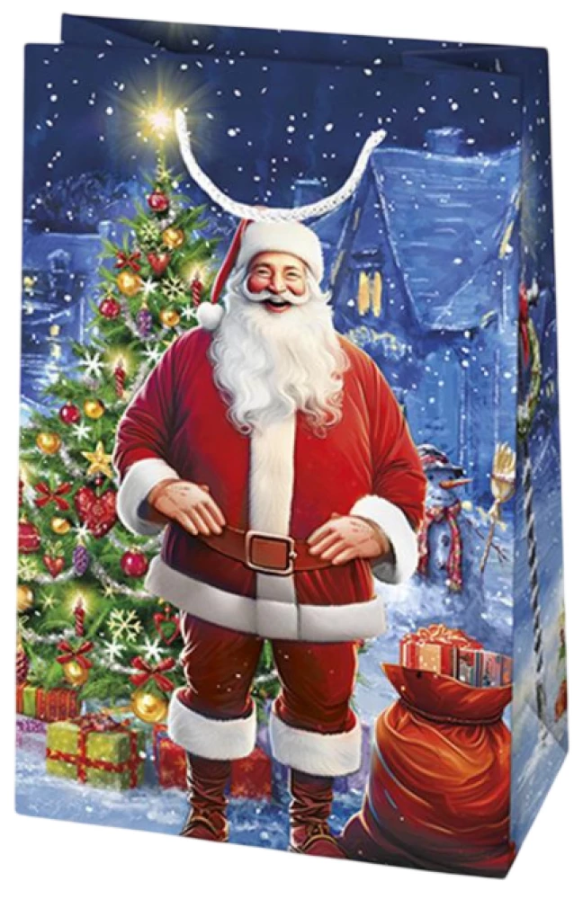 Torba prezentowa 10x16x6 cm, w asortymencie