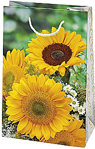 Torebka prezentowa 10x16x6 cm, w asortymencie