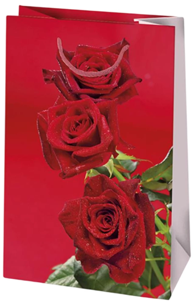 Torebka prezentowa 10x16x6 cm, w asortymencie