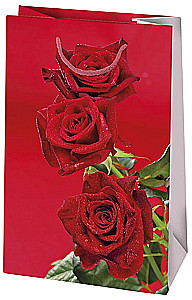 Torebka prezentowa 10x16x6 cm, w asortymencie