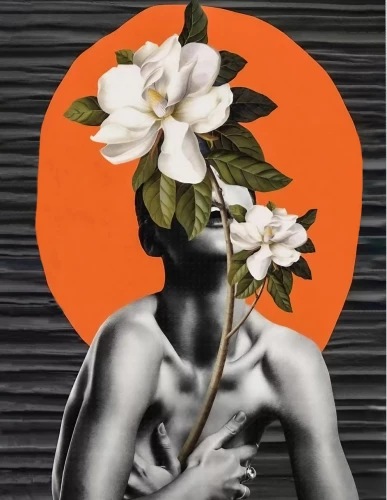 Gemälde nach Zahlen 40x50 - Unwiderstehliches Rätsel