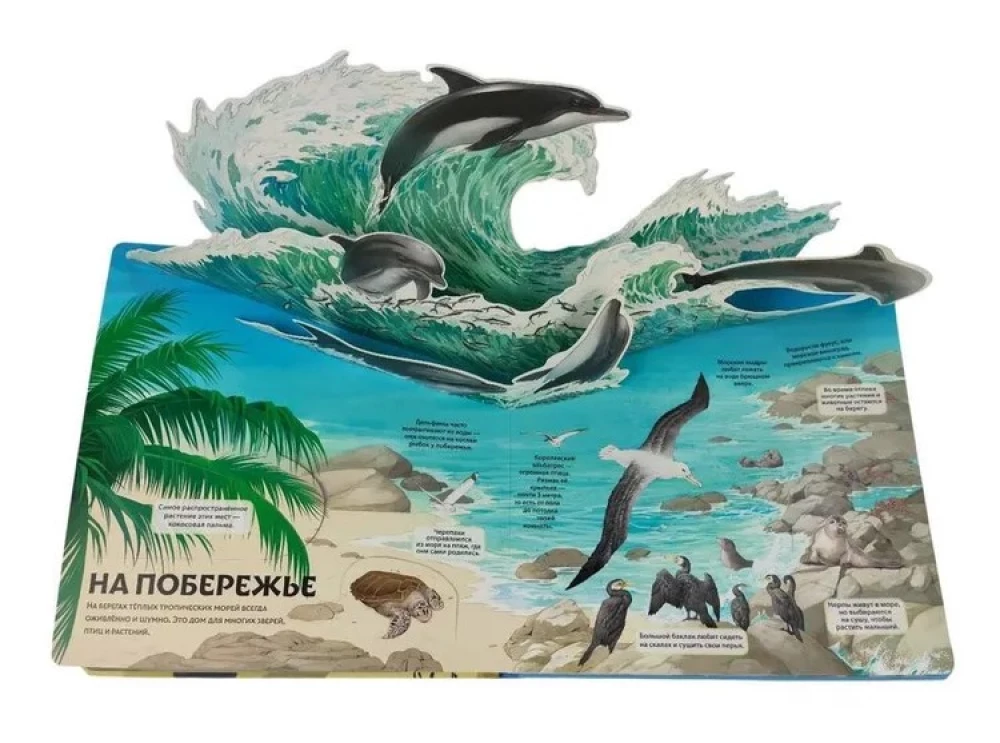 Animals and Plants. The Most Beautiful Encyclopedia with Windows, Flaps, and 3D Panoramas