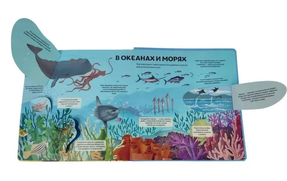 Animals and Plants. The Most Beautiful Encyclopedia with Windows, Flaps, and 3D Panoramas