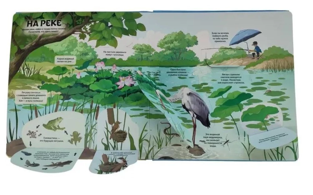 Animals and Plants. The Most Beautiful Encyclopedia with Windows, Flaps, and 3D Panoramas
