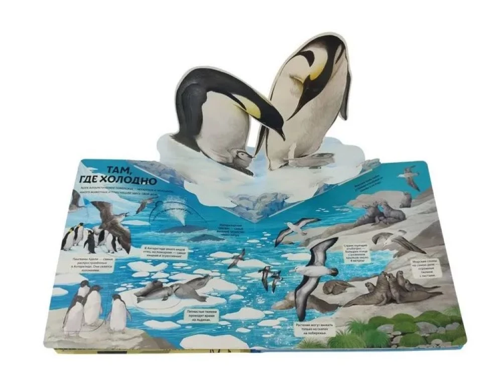 Animals and Plants. The Most Beautiful Encyclopedia with Windows, Flaps, and 3D Panoramas