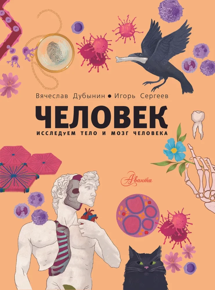 Man. Exploring the Human Body and Brain