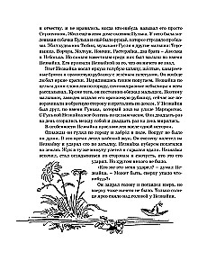 Przygody Nieznajki i jego przyjaciół (z ilustracjami A. Łaptewa)