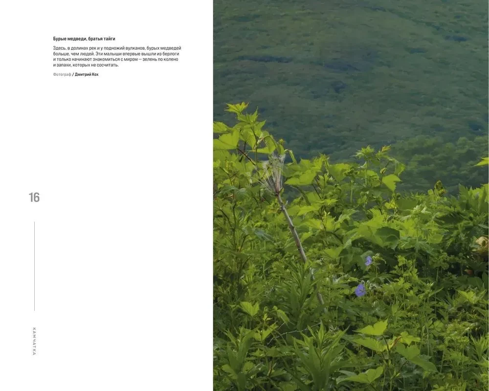 Gdzie rodzi się słońce. Pierwotny Daleki Wschód oczami fotografów-podróżników