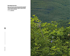 Gdzie rodzi się słońce. Pierwotny Daleki Wschód oczami fotografów-podróżników