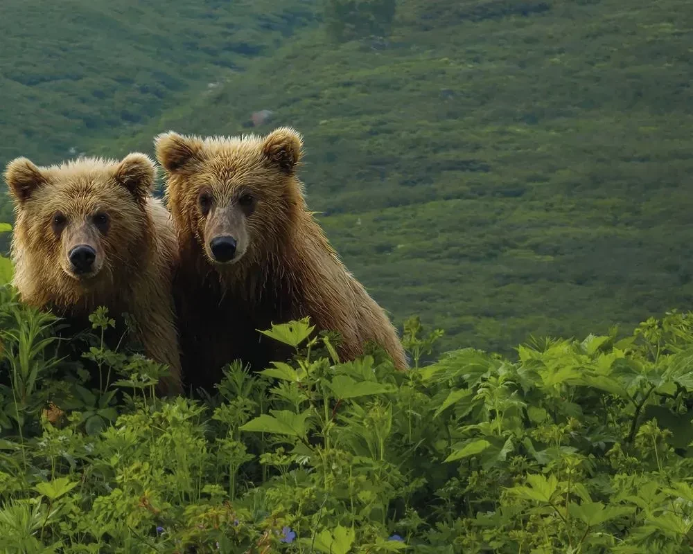 Gdzie rodzi się słońce. Pierwotny Daleki Wschód oczami fotografów-podróżników