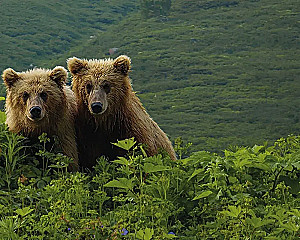 Gdzie rodzi się słońce. Pierwotny Daleki Wschód oczami fotografów-podróżników