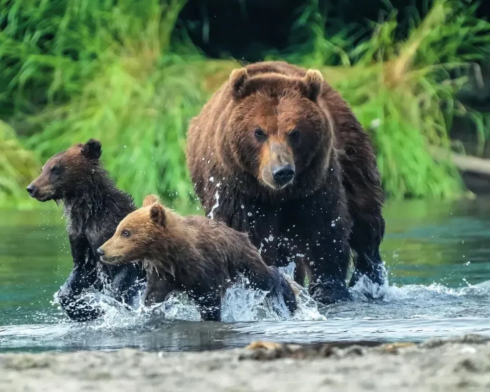 Gdzie rodzi się słońce. Pierwotny Daleki Wschód oczami fotografów-podróżników