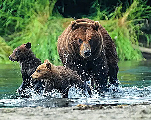 Gdzie rodzi się słońce. Pierwotny Daleki Wschód oczami fotografów-podróżników