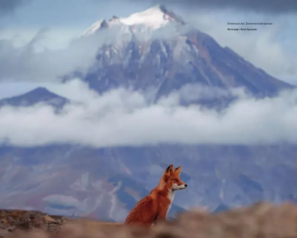 Gdzie rodzi się słońce. Pierwotny Daleki Wschód oczami fotografów-podróżników