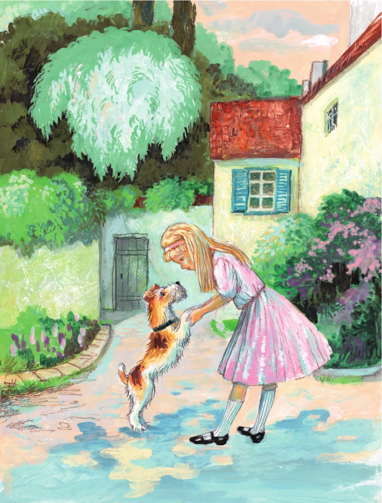 Mickey the Fox's Diary