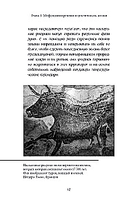 Die Mythen der Jahreszeiten