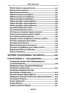 Szkoła Wrony i Wilka. Tom 11