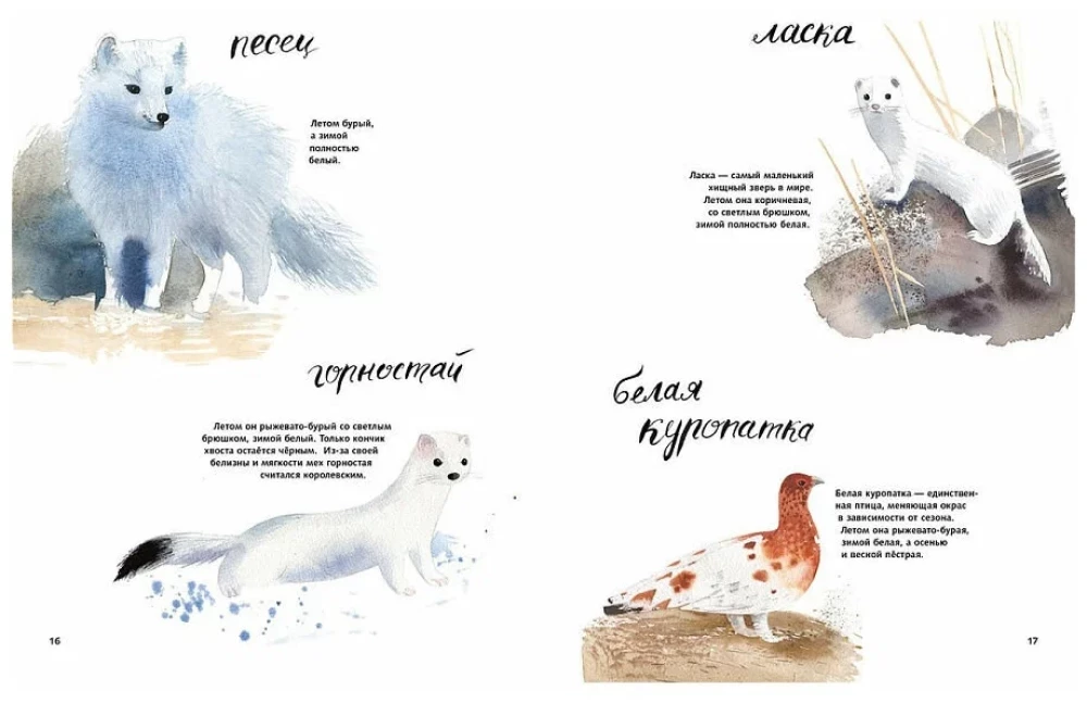 Здравствуй, зима!