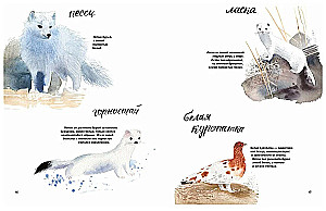 Здравствуй, зима!