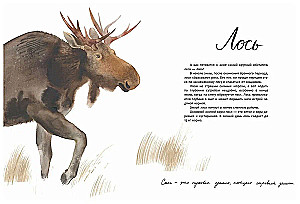 Здравствуй, зима!