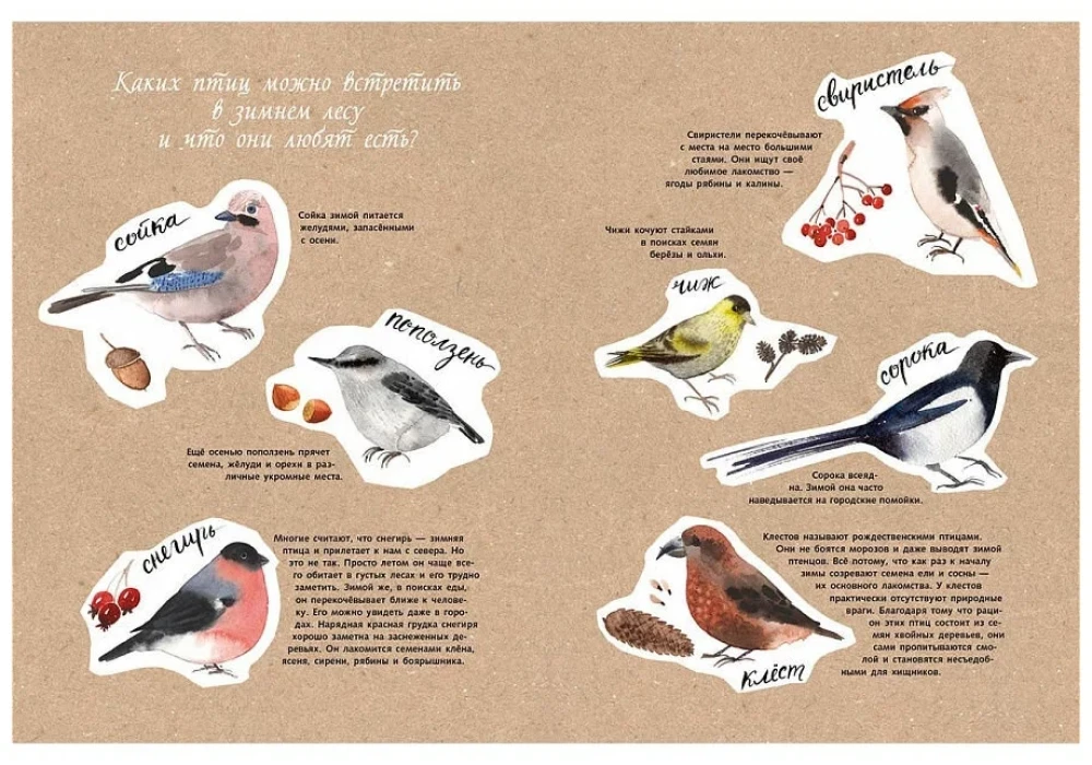 Здравствуй, зима!