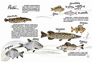 Здравствуй, зима!