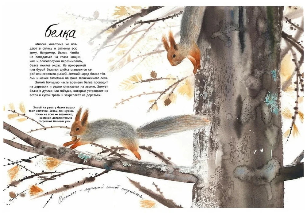 Здравствуй, зима!