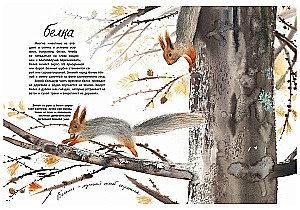 Здравствуй, зима!