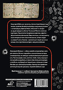 Der Voynich-Manuskript