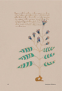 Der Voynich-Manuskript