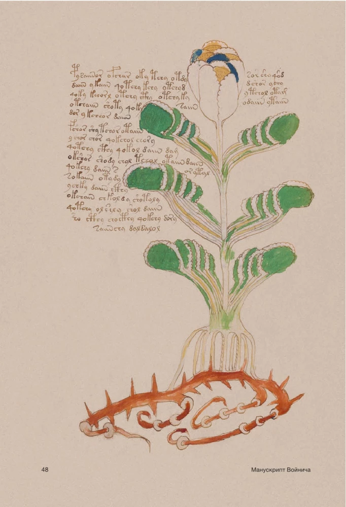 Der Voynich-Manuskript