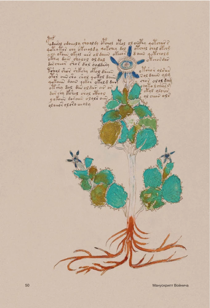 Der Voynich-Manuskript