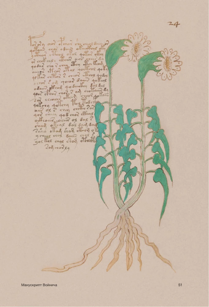 Der Voynich-Manuskript