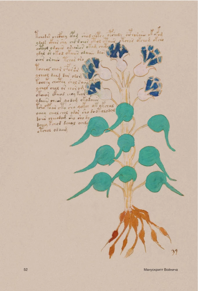 Der Voynich-Manuskript