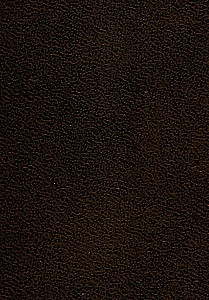 Анти-Макиавелли